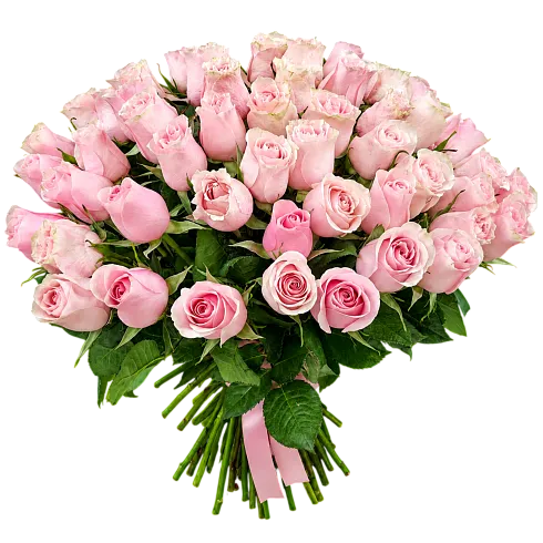 51 Розовая роза