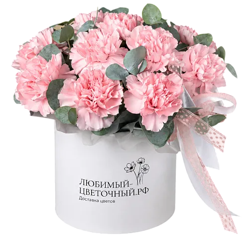 Коробка Диантус (р)