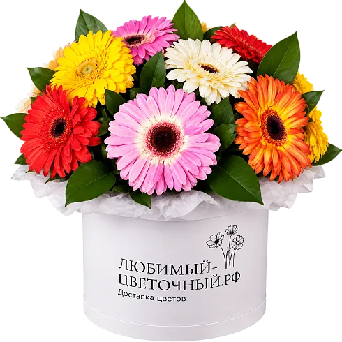 Коробка гербер